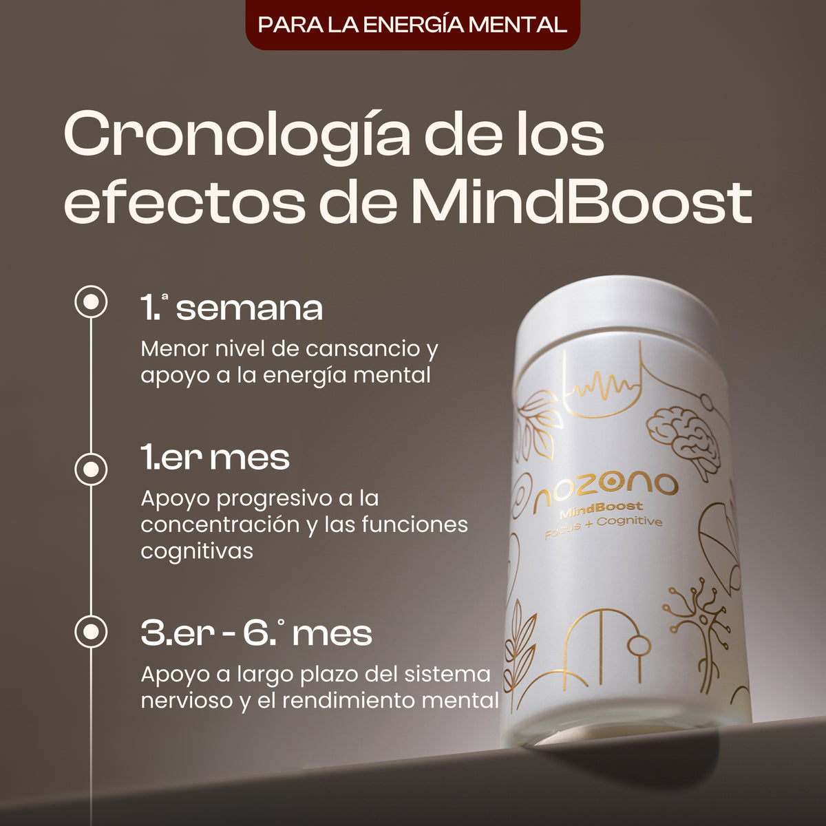 MindBoost