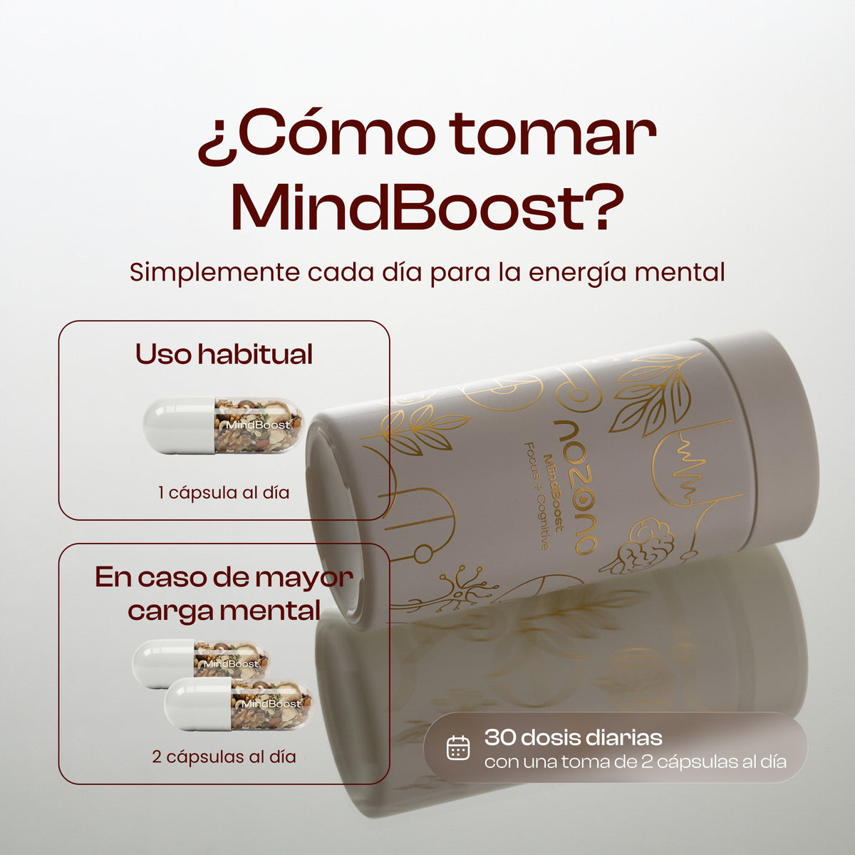 MindBoost